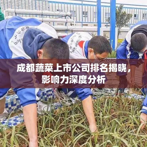 噩噩浑浑