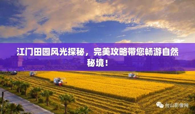 鸟啼花落
