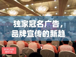 独家冠名广告，品牌宣传的新趋势引领潮流风暴