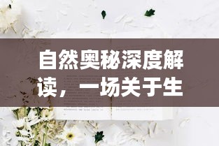 自然奥秘深度解读，一场关于生命的感悟之旅