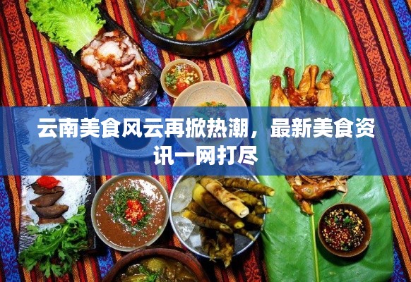 云南美食风云再掀热潮，最新美食资讯一网打尽