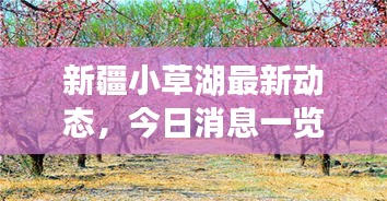 鸟革翬飞