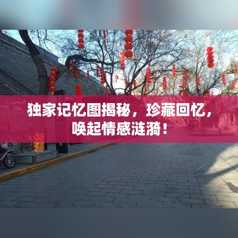 独家记忆图揭秘，珍藏回忆，唤起情感涟漪！