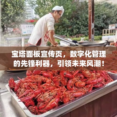 宝塔面板宣传页，数字化管理的先锋利器，引领未来风潮！