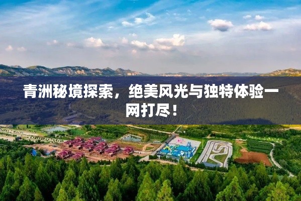 青洲秘境探索，绝美风光与独特体验一网打尽！