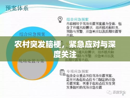 农村突发脑梗，紧急应对与深度关注