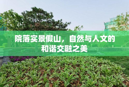 院落实景假山，自然与人文的和谐交融之美
