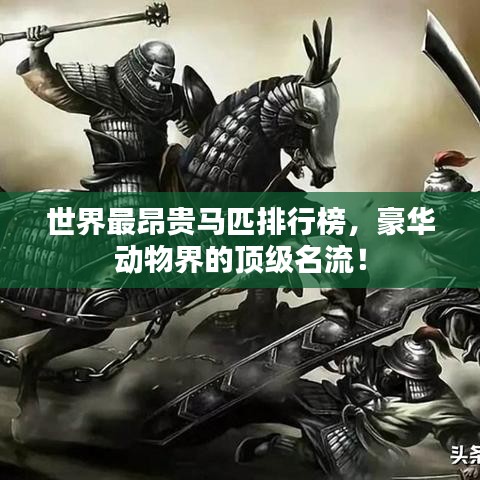 罗含梦鸟