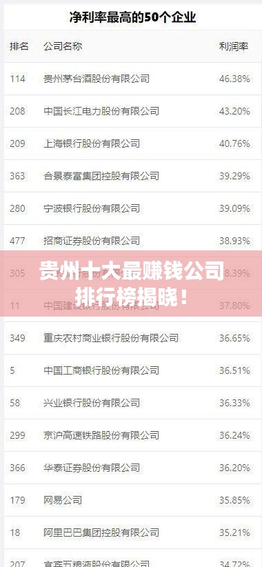 贵州十大最赚钱公司排行榜揭晓！