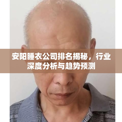 安阳睡衣公司排名揭秘，行业深度分析与趋势预测