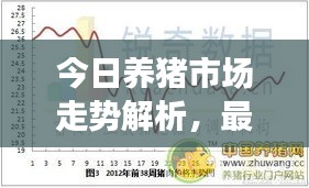 今日养猪市场走势解析，最新价格及未来预测