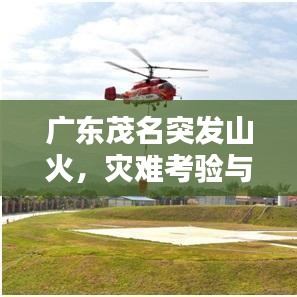 广东茂名突发山火，灾难考验与地方应急响应引发社会关注