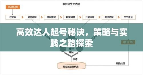 高效达人起号秘诀，策略与实践之路探索