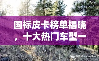 天潢贵胄