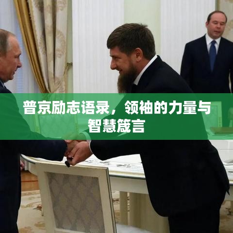 龙飞九五