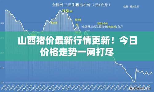 配送流程 第5页
