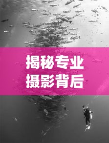 揭秘专业摄影背后的故事，图虫独家供稿，探索摄影艺术之旅