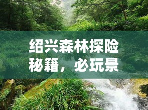 绍兴森林探险秘籍，必玩景点一网打尽！