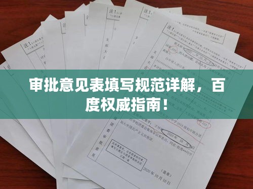 审批意见表填写规范详解，百度权威指南！