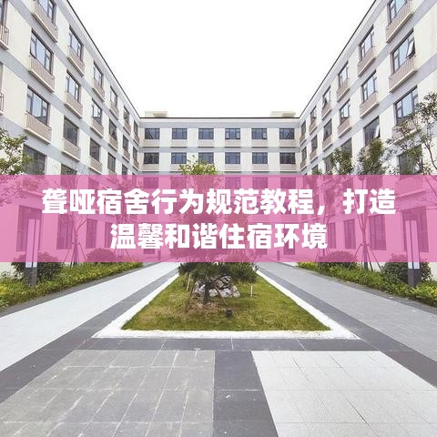 聋哑宿舍行为规范教程，打造温馨和谐住宿环境