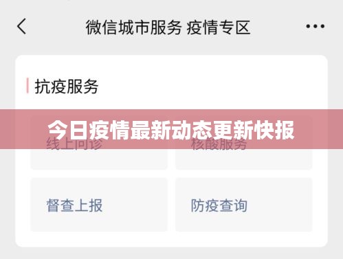鸟惊鼠窜