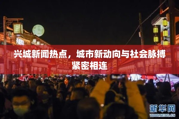 兴城新闻热点，城市新动向与社会脉搏紧密相连