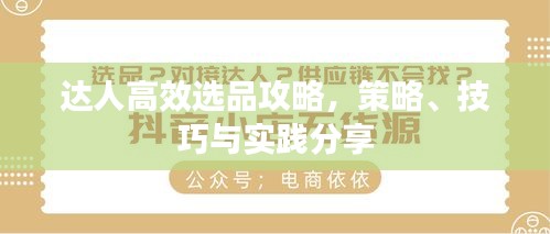 达人高效选品攻略，策略、技巧与实践分享