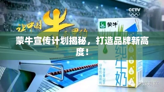 蒙牛宣传计划揭秘，打造品牌新高度！