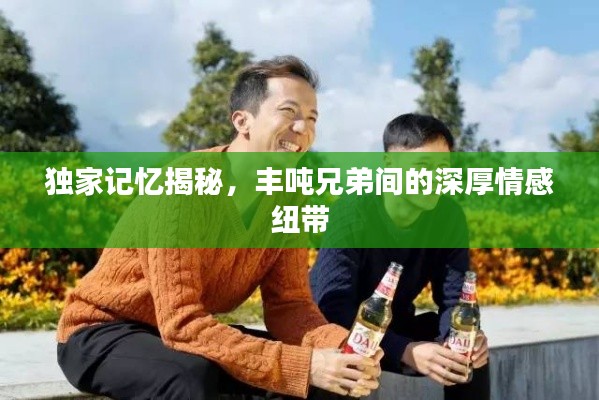 独家记忆揭秘，丰吨兄弟间的深厚情感纽带