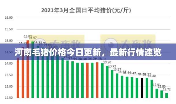 河南毛猪价格今日更新，最新行情速览