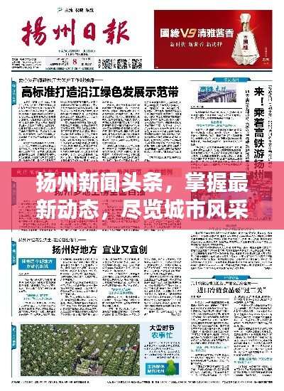 扬州新闻头条，掌握最新动态，尽览城市风采