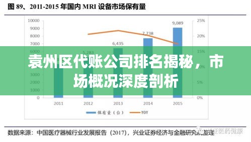 袁州区代账公司排名揭秘，市场概况深度剖析