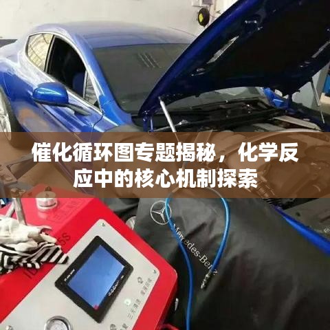 催化循环图专题揭秘，化学反应中的核心机制探索