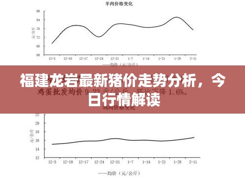 福建龙岩最新猪价走势分析，今日行情解读
