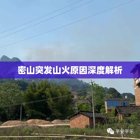 密山突发山火原因深度解析