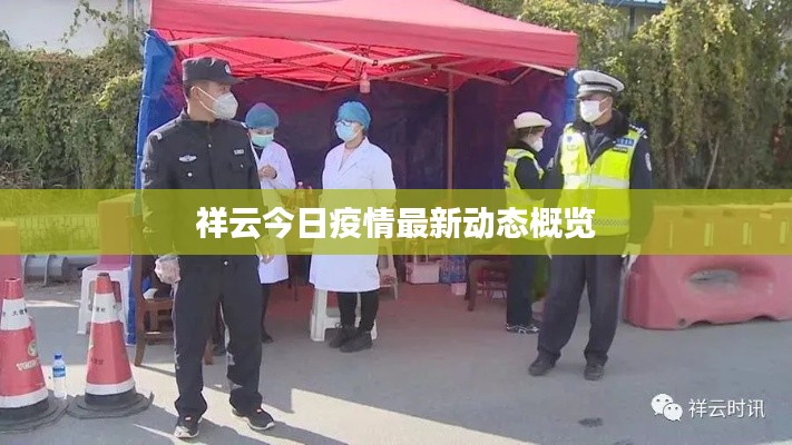 祥云今日疫情最新动态概览
