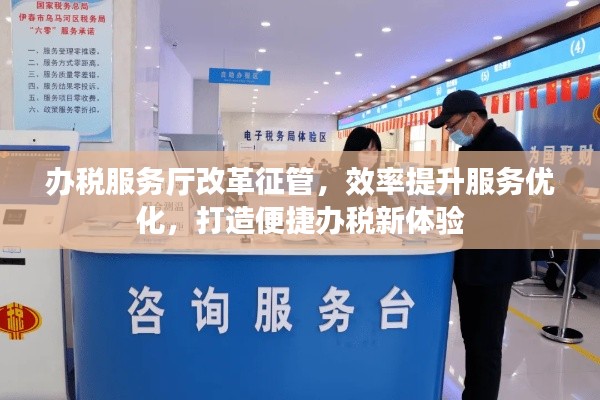 办税服务厅改革征管，效率提升服务优化，打造便捷办税新体验
