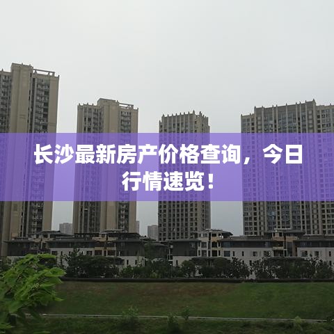 长沙最新房产价格查询，今日行情速览！