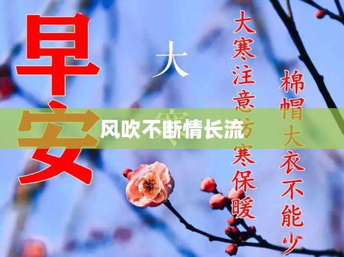 风吹不断情长流