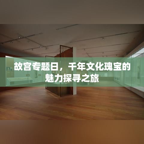 故宫专题日，千年文化瑰宝的魅力探寻之旅