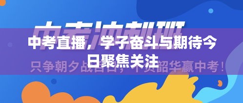 中考直播，学子奋斗与期待今日聚焦关注