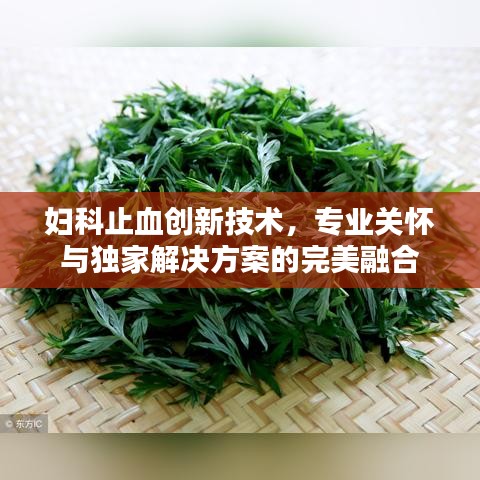 妇科止血创新技术，专业关怀与独家解决方案的完美融合