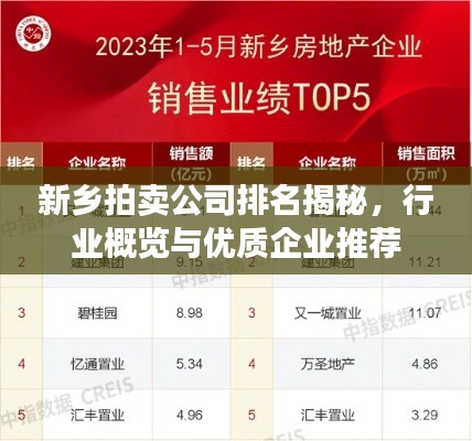 新乡拍卖公司排名揭秘，行业概览与优质企业推荐
