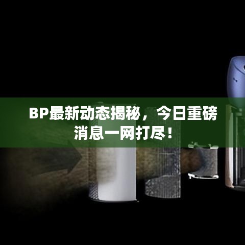 BP最新动态揭秘，今日重磅消息一网打尽！