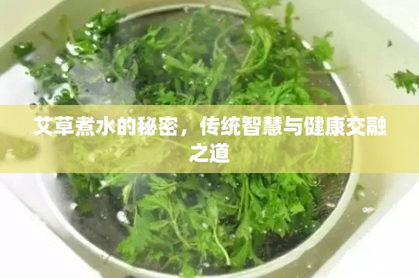艾草煮水的秘密，传统智慧与健康交融之道