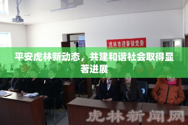 平安虎林新动态，共建和谐社会取得显著进展