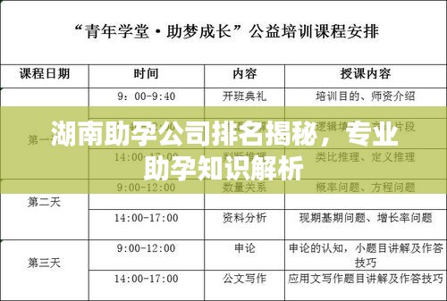 湖南助孕公司排名揭秘，专业助孕知识解析