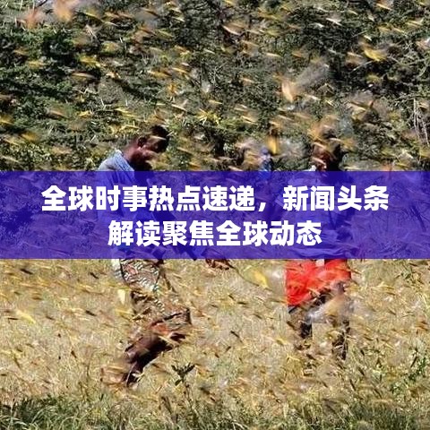 全球时事热点速递，新闻头条解读聚焦全球动态