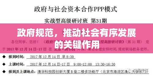 政府规范，推动社会有序发展的关键作用