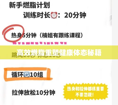 高效燃脂重塑健康体态秘籍
